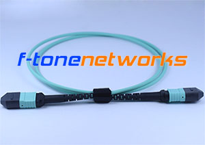 MTP, OM4, 12Core Fiber Patch Cord